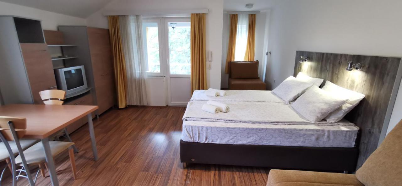Apartments Banjica Sokobanja Zewnętrze zdjęcie