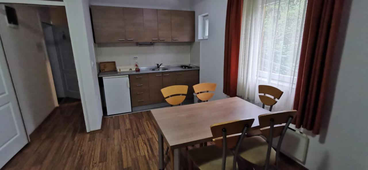 Apartments Banjica Sokobanja Zewnętrze zdjęcie